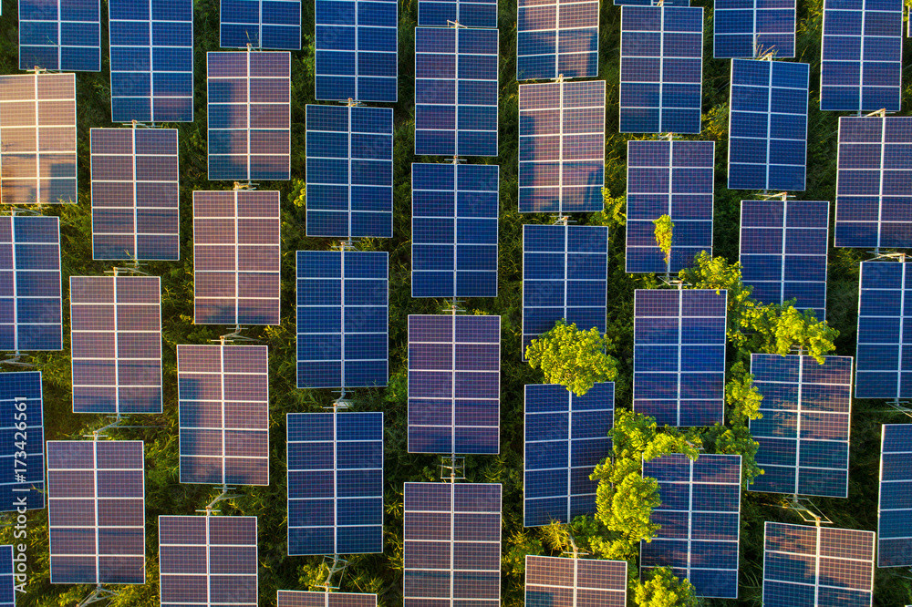 Top view of solar panels (solar cell) in solar farm with green tree and sun lighting reflect .Photovoltaic plant field. - obrazy, fototapety, plakaty 