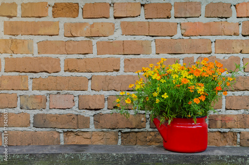 Flowers in flowerpot on the brick wall background © Rocknroads