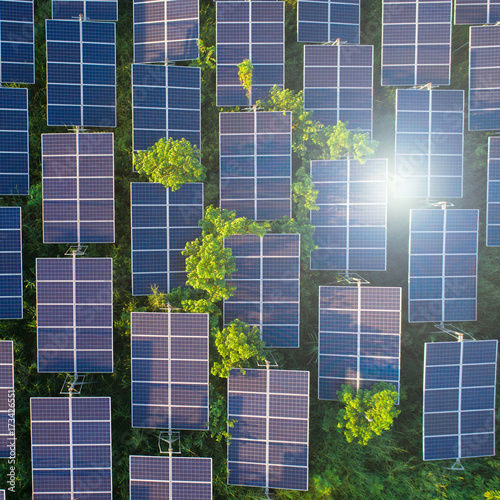 Top view of solar panels (solar cell) in solar farm with green tree and sun lighting reflect .Photovoltaic plant field.