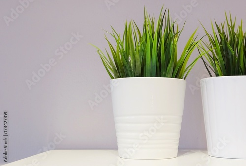 Green Artificial Plant in A Porcelain Pot