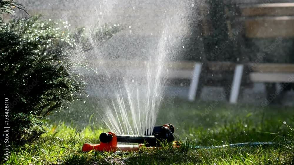 sprinkler working in summer
sprinkler working in summer