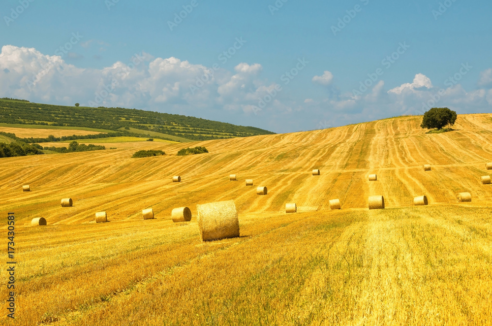 Fototapeta premium Bales of straw. Levels after the harvest