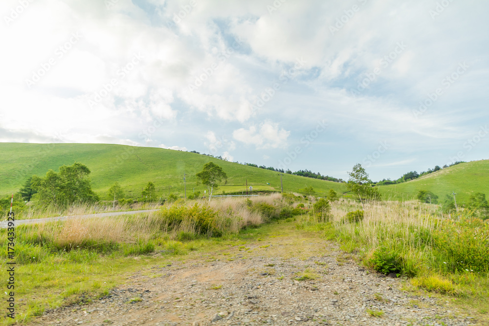 Beautiful  landscape view of  Utsukushigahara park with  blue sky  background is  one of the most important and popular natural place in Nagano Prefecture , Japan.