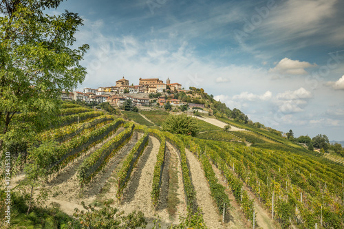 La Mora Vineyard