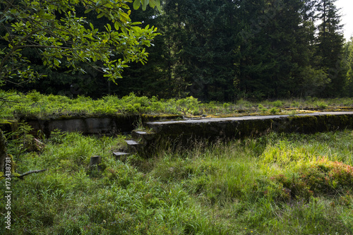 Ruin of the old building overgrown with moss and grass. 