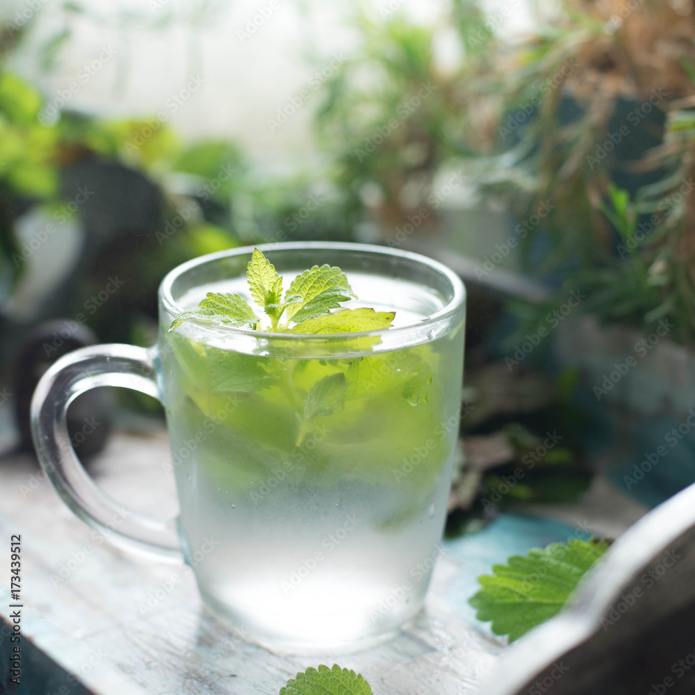Mint tea with fresh mint leaves. Closeup Mint tea with fresh mint leaves. Closeup
