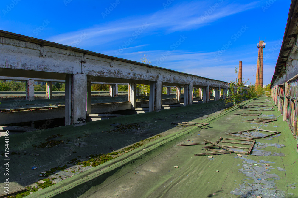 The destroyed building of the factory workshop, which worked in the defense industry of Ukraine. The trees grew on the roof. Robbery and an act of vandalism. September 2017