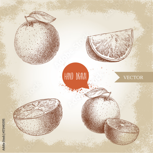Hand drawn sketch style orange fruit compositions set. Half orange and segment slice. Hand made vector citrus fruit illustration isolated on old looking background.