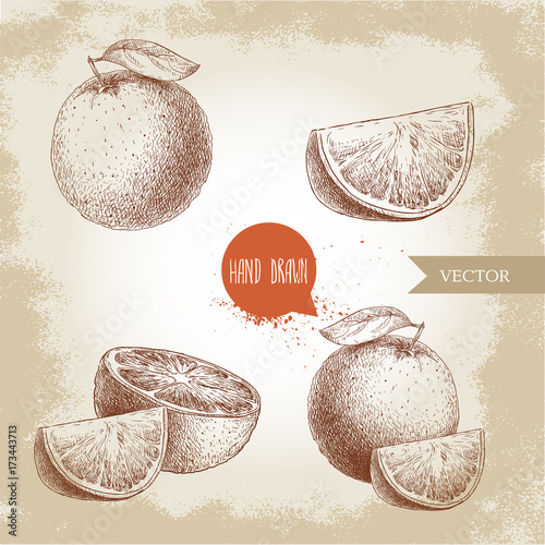 Hand drawn sketch style orange fruit compositions set. Whole fruit and slices. Hand made vector citrus fruit illustration isolated on old looking background.