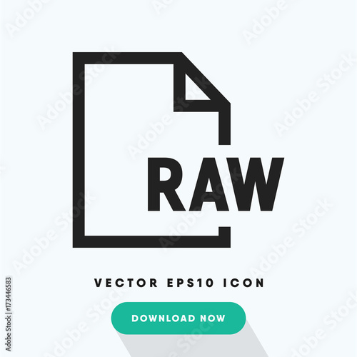 Raw file vector icon