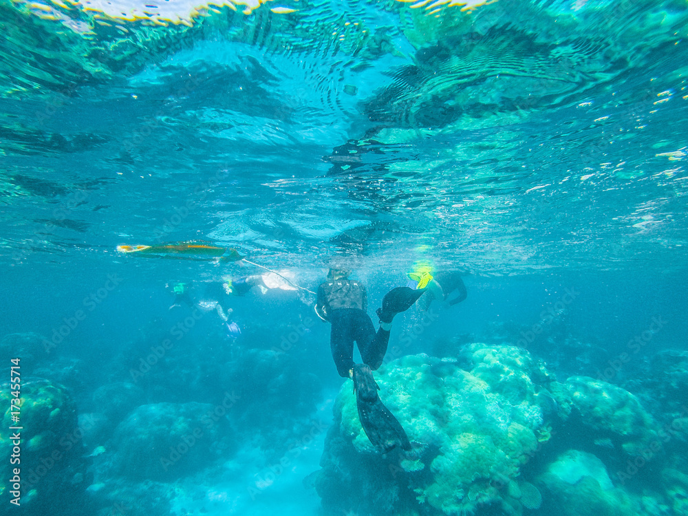 Snorkelling in the Great Barrier Reef