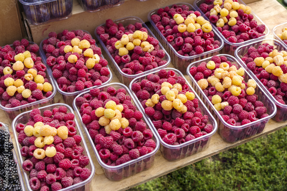 raspberry in plastic boxes raspberry in plastic boxes