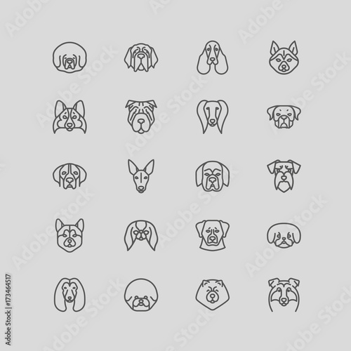 Dog breeds Vector Collection