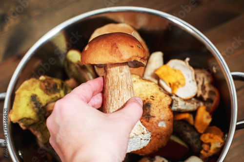 forest mushrooms in a basket on a wooden background. mushroom boletus in hand