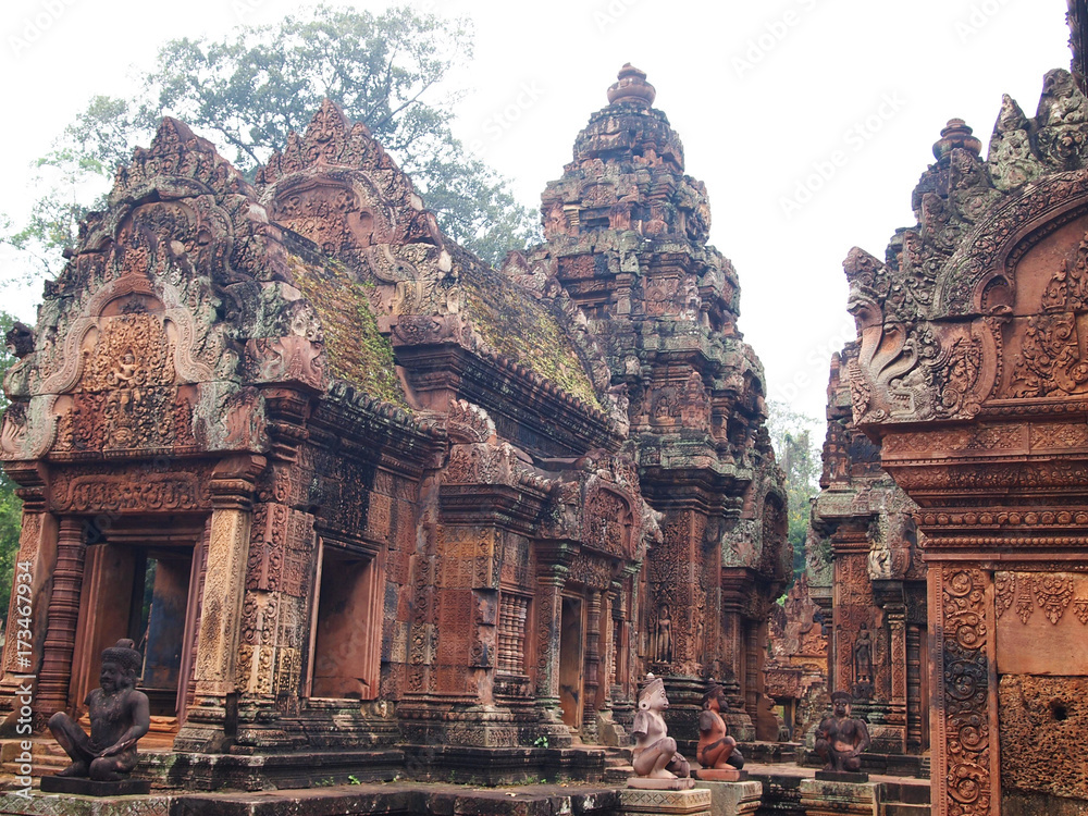 Fototapeta premium OLYMPUS DIGITAL CAMERA