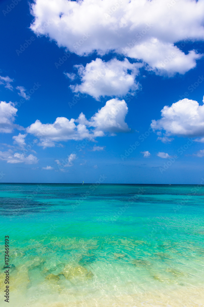 sandy sea beach