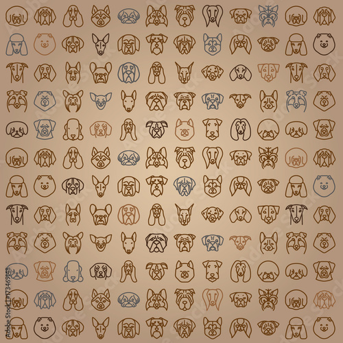 Dog breeds Vector Collection