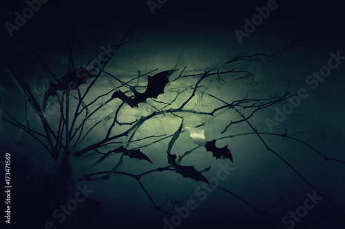 Bats on branches