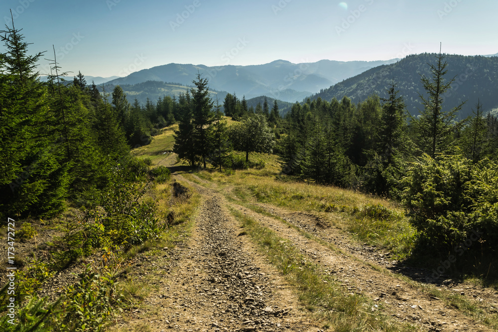 Carpathians nature