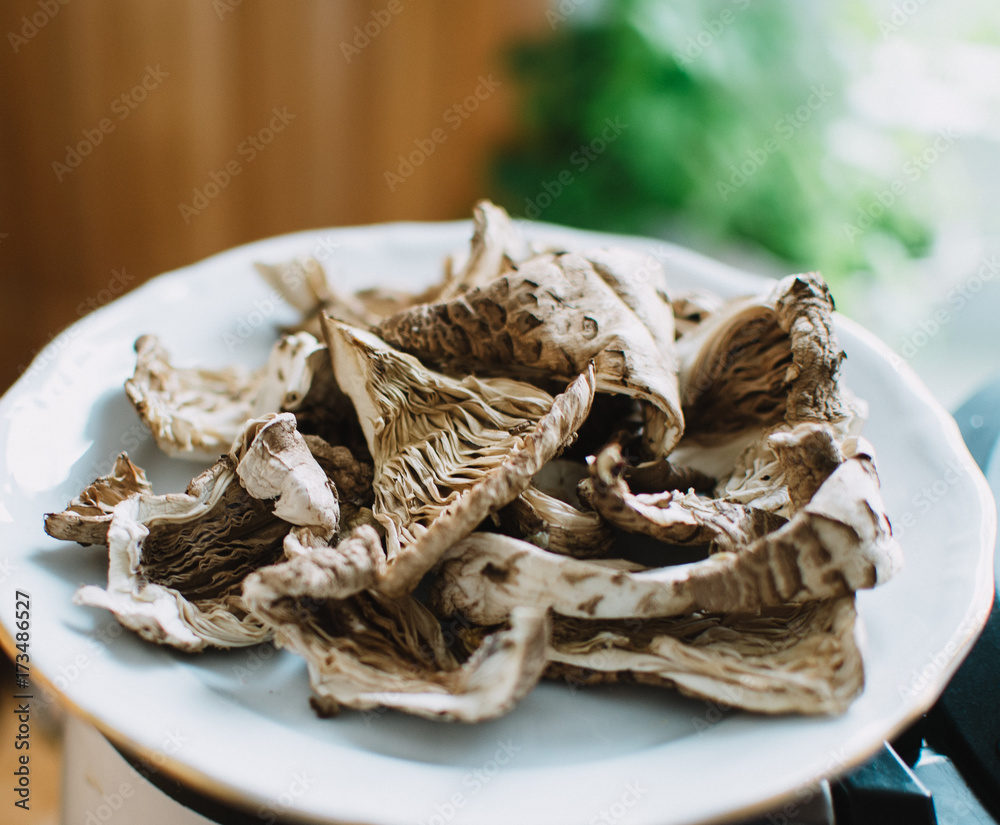 dry pieces of parasol mushroom dry pieces of parasol mushroom