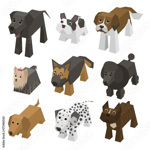 Vector different breed isometric dogs