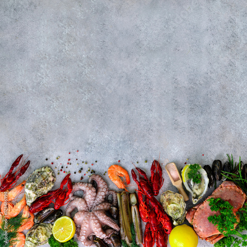 Seafood background - fresh mussels, molluscs, oysters, octopus, razor shells, shrimps, crab, crawfish, crayfish, seaweed, lemon, spices. Banner with copyspace photo
