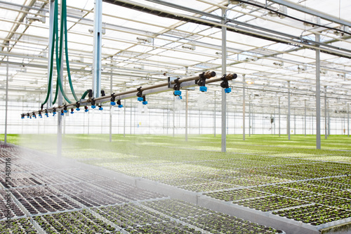 Interior of modern hothouse with advanced system of irrigation and plant care photo