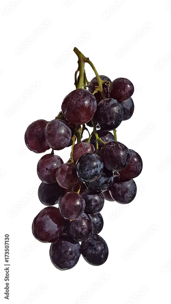grape isolated fresh red black food background grape isolated fresh red black food background