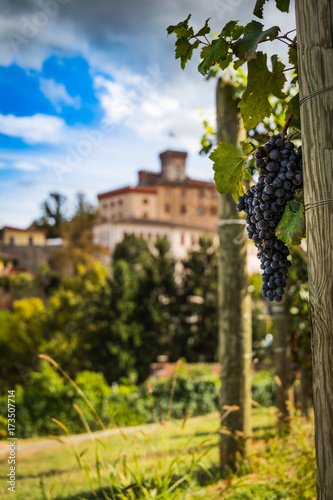 Barolo town view from Barolo wine vineyards photo