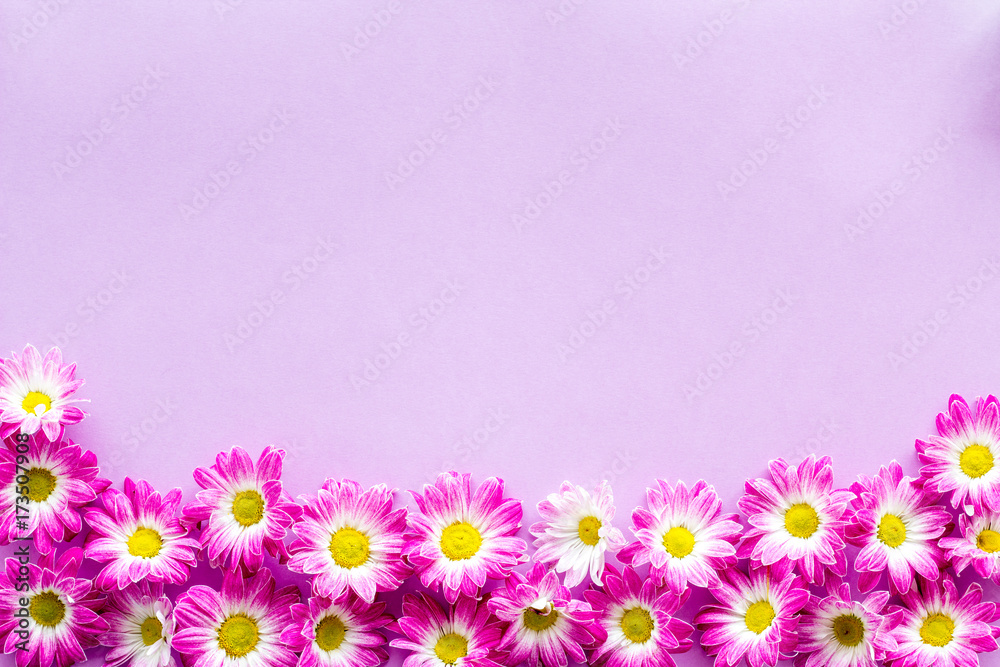 Floral pattern with pink flowers on purple background top view copyspace