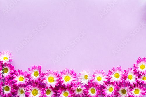 Floral pattern with pink flowers on purple background top view copyspace