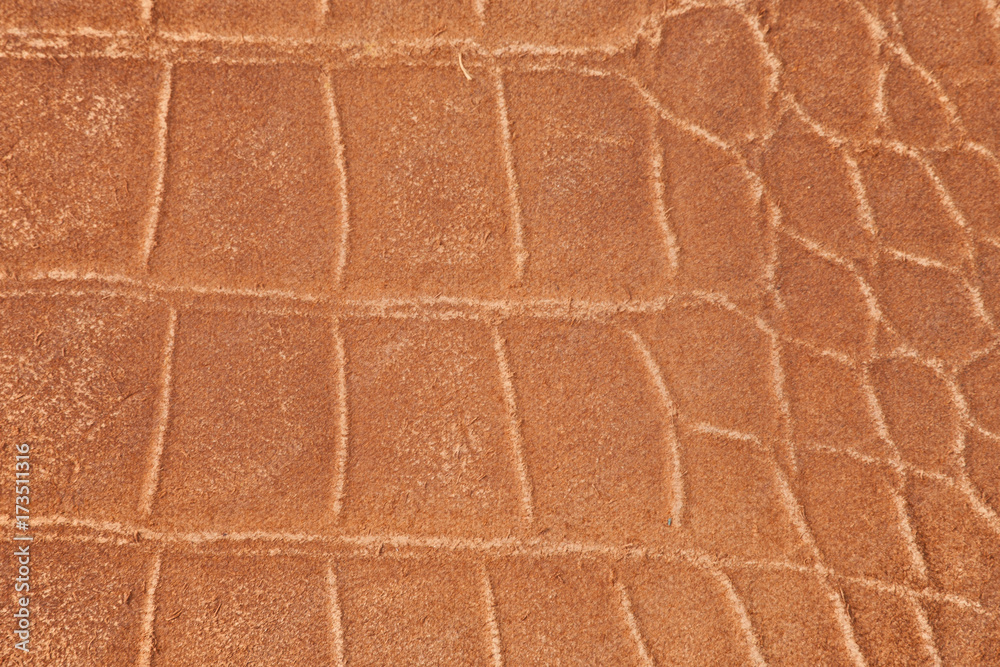 High resolution texture. Background. Skin. High resolution texture. Background. Skin.