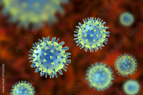 Human pathogenic viruses, 3D illustration