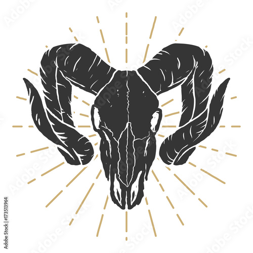 Ram skull illustration. Design elements for label, sign, logo, poster.