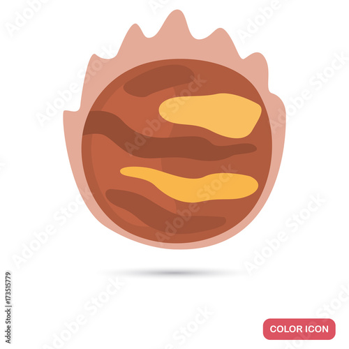 Venus planet color flat icon