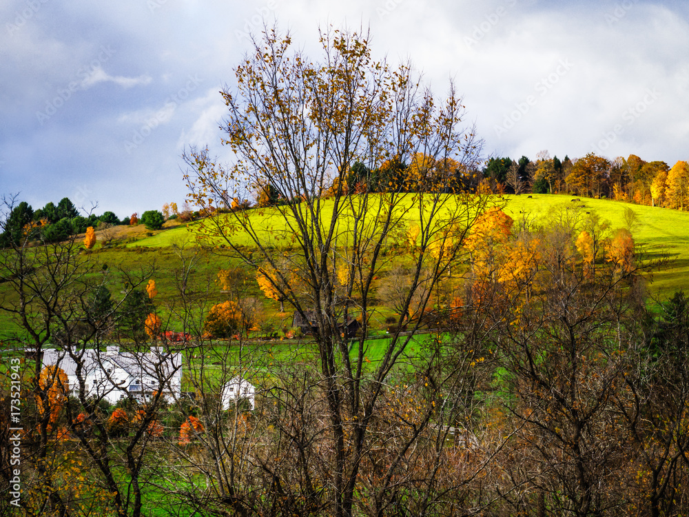 Fototapeta premium Vermont Farm