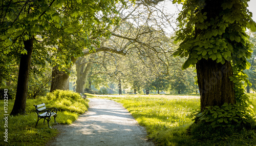 Fototapeta Naklejka Na Ścianę i Meble -  Panorama of city park