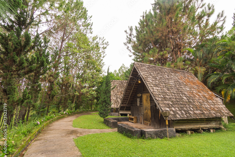 Hut as Guesthouse among pine forrest at North nation park Thailand Hut as Guesthouse among pine forrest at North nation park Thailand