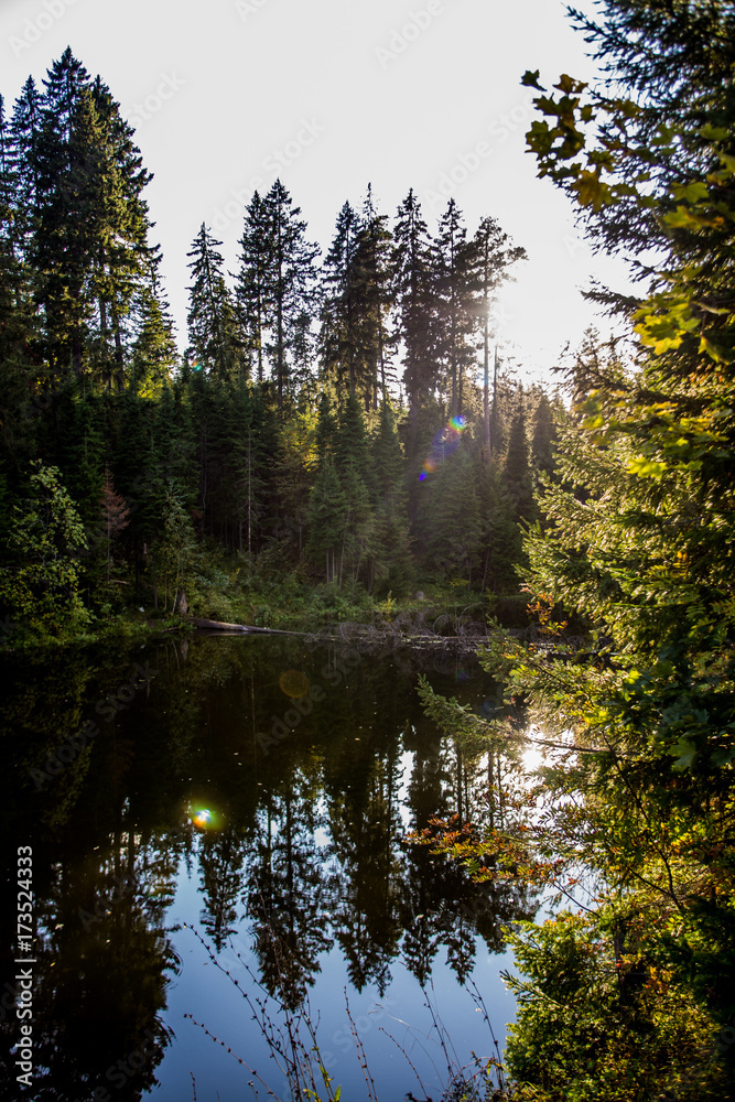 landscape; lake; winter; winter forest; lake winter landscape; lake; winter; winter forest; lake winter
