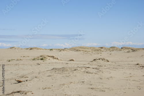 Billede på lærred Dunes of the Curonian Spit