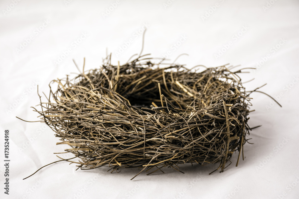 small empty nest isolated on white background