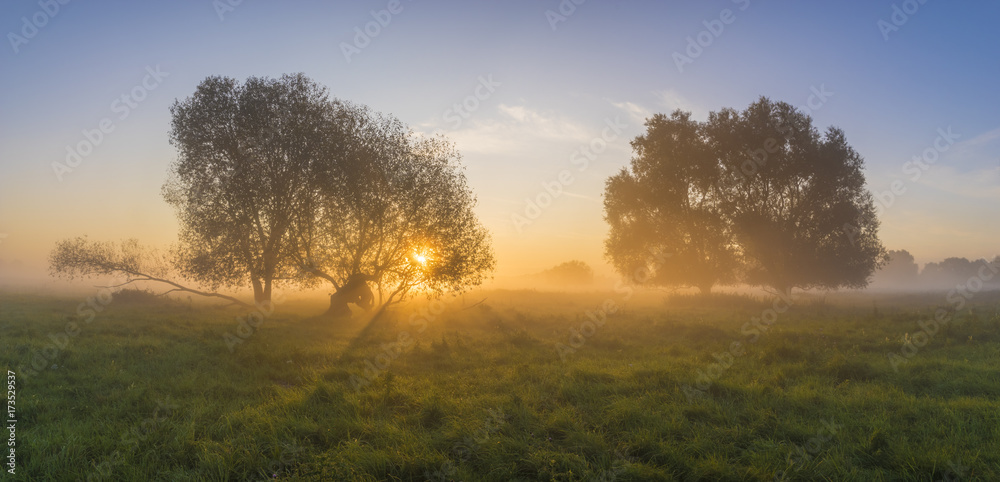 beautiful fairytale sunrise over a foggy meadow