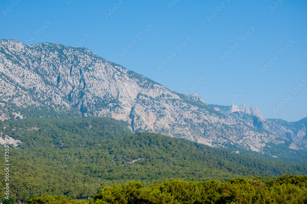 Grey mountain on blue sky background and green forest near it