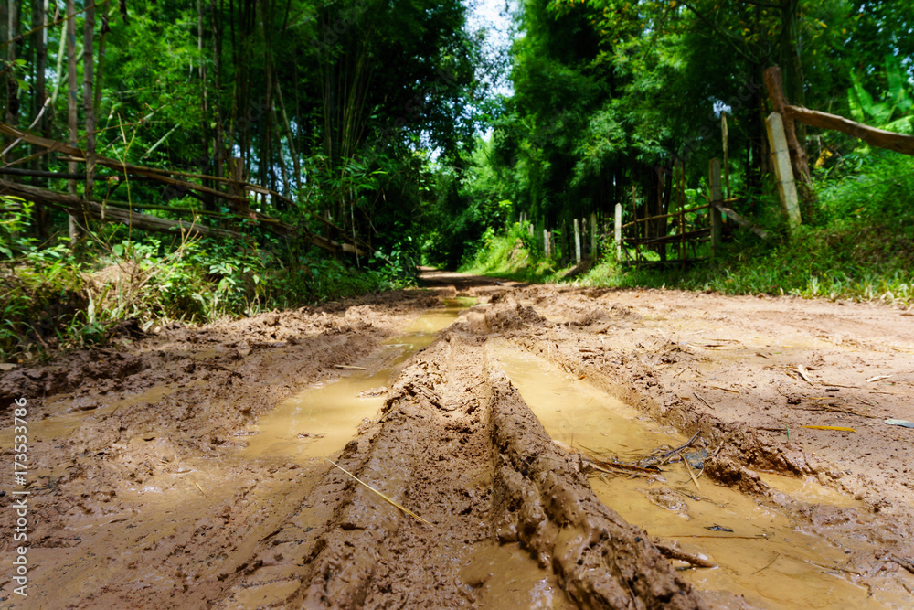 dirt and muddy rural road during a jungle trip through bamboo forest in village at countryside after the rain. dirt and muddy rural road during a jungle trip through bamboo forest in village at countryside after the rain.