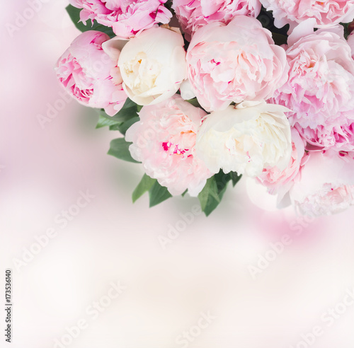 Fototapeta Naklejka Na Ścianę i Meble -  Fresh peony flowers with leaves over pink bokeh background