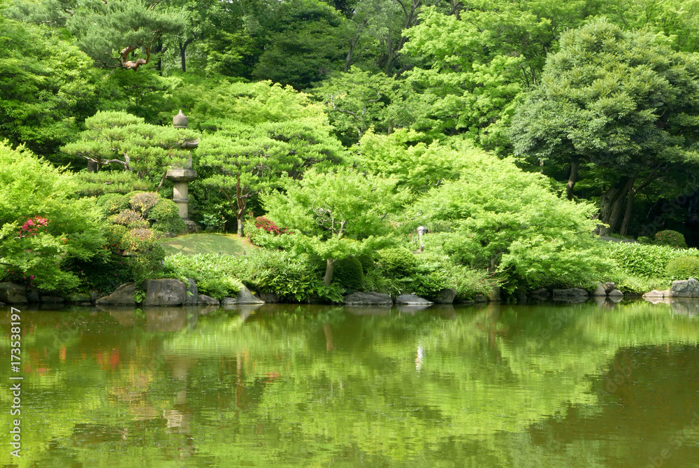 Green trees, pond with reflection in Japanese zen garden Green trees, pond with reflection in Japanese zen garden