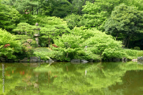 Green trees  pond with reflection in Japanese zen garden