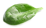 Fresh spinach leaf on white background