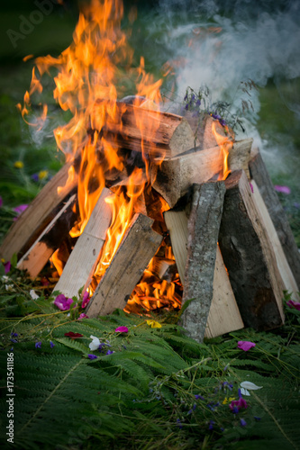 Bonfire in a wood with fern and flowers