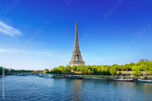 View of Paris with Eiffel tower